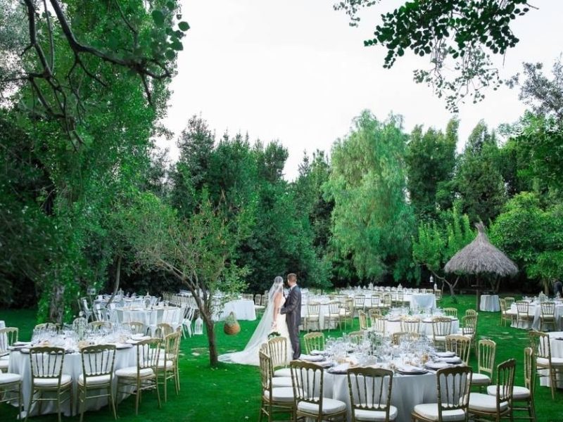 Diseño sin título (15)